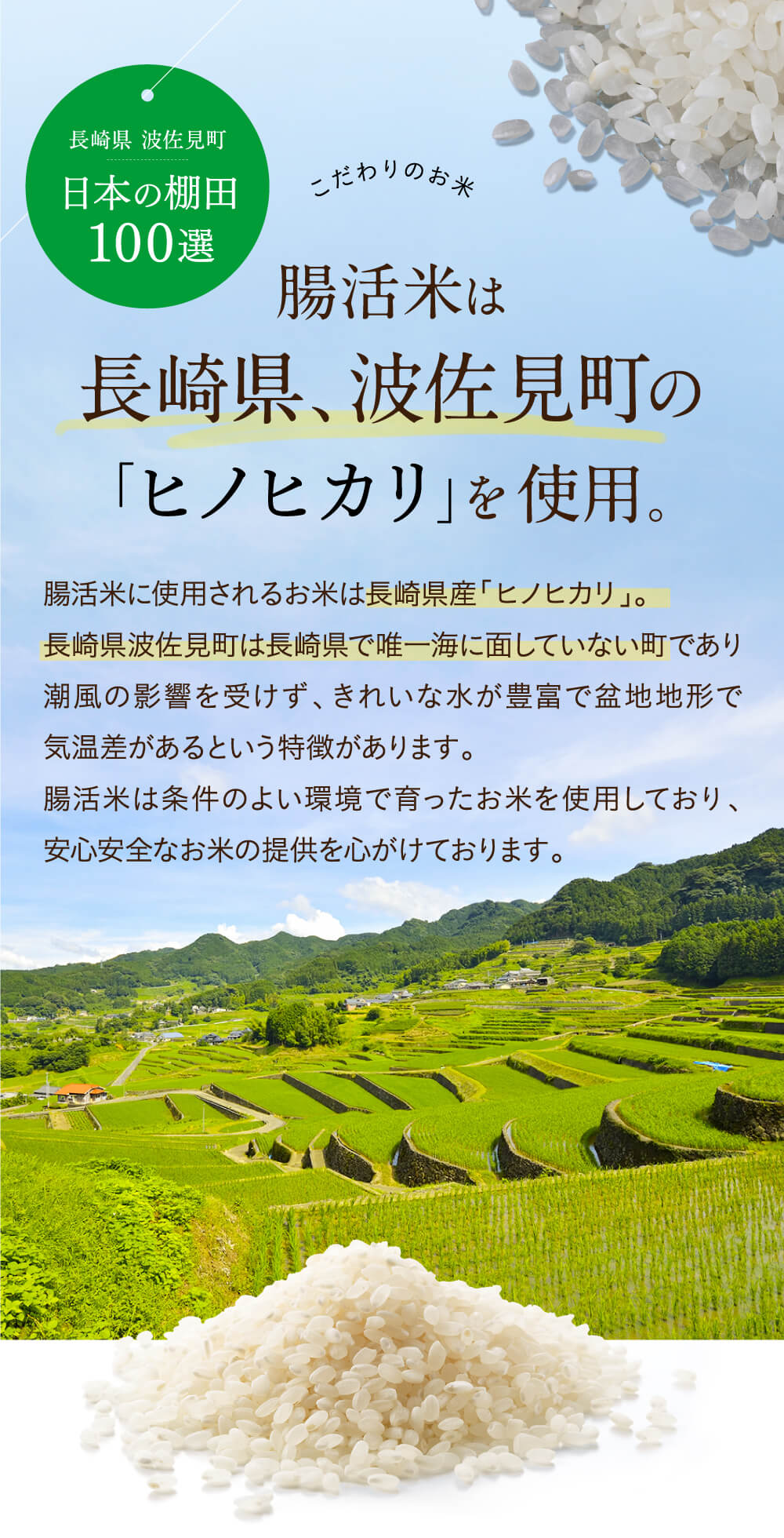 腸活米は長崎県、波佐見町の「ヒノヒカリ」を使用