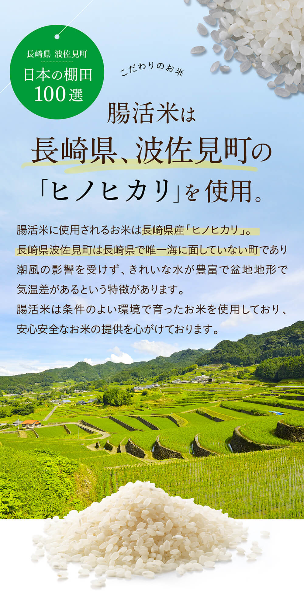 腸活米は長崎県、波佐見町の「ヒノヒカリ」を使用。
